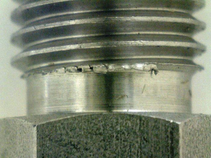 ��������ë��